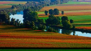 Beautiful nature, summer, river, fields, colorful wallpaper thumb
