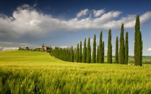 Italy, Campania, spring scenery, fields, tree, house, sky, green wallpaper thumb