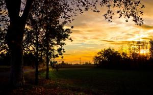 Autumn, field, trees, evening, sunset, beautiful scenery wallpaper thumb