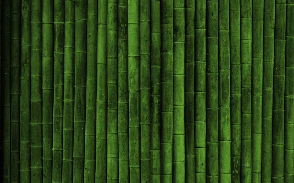 Bamboo Wall wallpaper,Plants HD wallpaper,1920x1200 wallpaper
