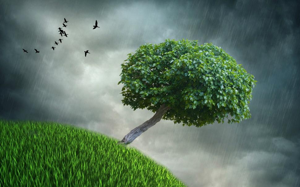 Creative pictures, rainy, lonely tree, green leaves, grass, birds, dark clouds wallpaper,Creative HD wallpaper,Pictures HD wallpaper,Rainy HD wallpaper,Lonely HD wallpaper,Tree HD wallpaper,Green HD wallpaper,Leaves HD wallpaper,Grass HD wallpaper,Birds HD wallpaper,Dark HD wallpaper,Clouds HD wallpaper,1920x1200 wallpaper