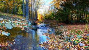 Autumn landscape, forest, trees, colorful, foliage, river, stones wallpaper thumb