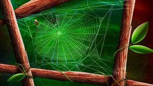 Spider Web wallpaper thumb