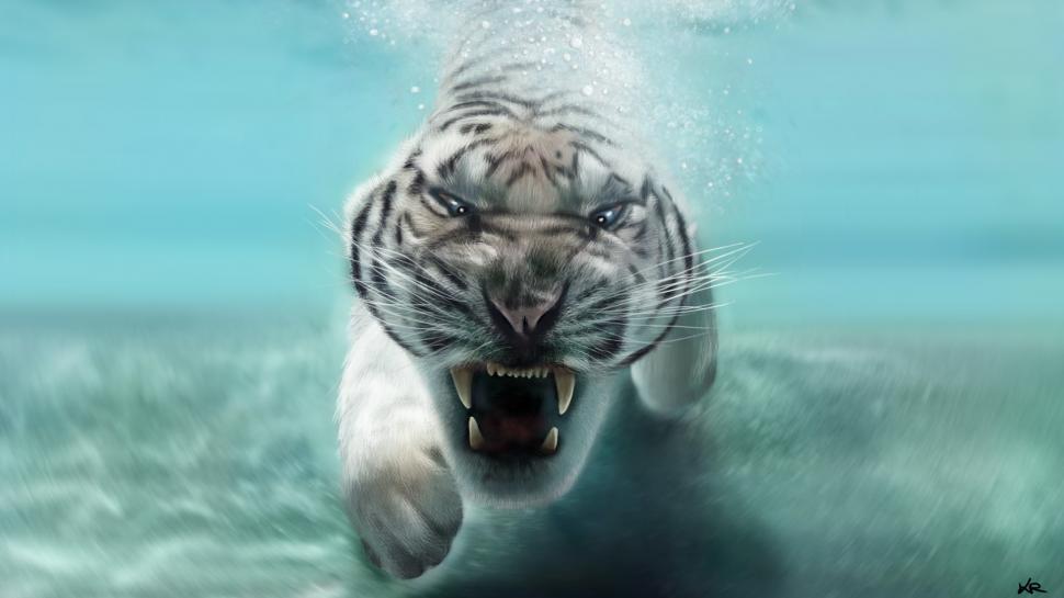White tiger in water wallpaper,Animal HD wallpaper,predator HD wallpaper,white tiger HD wallpaper,water HD wallpaper,face HD wallpaper,mouth HD wallpaper,teeth HD wallpaper,1920x1080 wallpaper