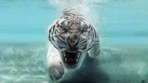 White tiger in water wallpaper thumb