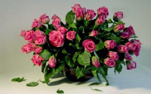 Many pink roses, vase bouquet wallpaper thumb