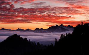 USA, Oregon, mountainous, forest, sky, sunset wallpaper thumb