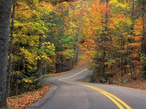 Road, Path, Outdoors, Trees, Forest, Autumn, Photography wallpaper thumb