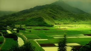 Green mountain and green fields wallpaper thumb