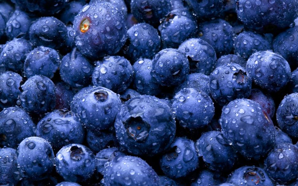 Fruits Blueberries wallpaper,fruits HD wallpaper,blueberries HD wallpaper,1920x1200 wallpaper