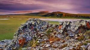 Multi Colored Rock In The Meadow wallpaper thumb