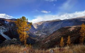 The Altai mountains, autumn, China wallpaper thumb