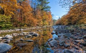 Forest, river, rocks, autumn wallpaper thumb
