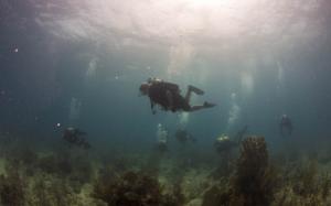 Diver Underwater Ocean HD wallpaper thumb