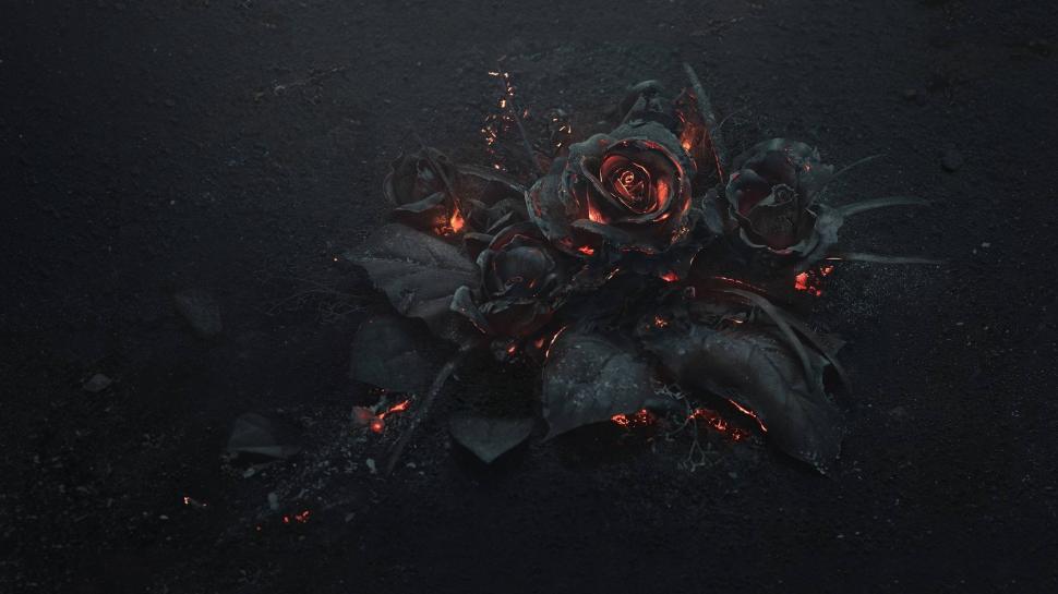Flowers, Rose, Fire, Gothic wallpaper,flowers HD wallpaper,rose HD wallpaper,fire HD wallpaper,gothic HD wallpaper,2560x1440 wallpaper