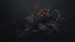 Flowers, Rose, Fire, Gothic wallpaper thumb