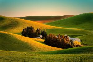 field, grass, landscape, farm wallpaper thumb