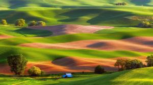 Steptoe Butte State Park, USA, fields, trees, house wallpaper thumb