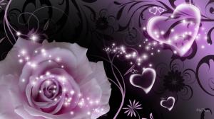 Lavender Rose Of Darkness wallpaper thumb