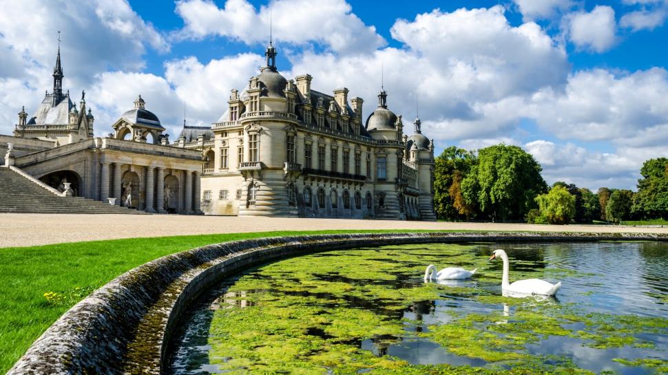 Pond, swan, palace, castle, clouds, trees wallpaper,Pond HD wallpaper,Swan HD wallpaper,Palace HD wallpaper,Castle HD wallpaper,Clouds HD wallpaper,Trees HD wallpaper,1920x1080 wallpaper