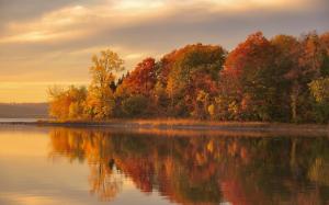 Dusk autumn, forest, lake, water reflection wallpaper thumb