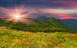 Mountains, slope, grass, trees, evening, sunset wallpaper thumb