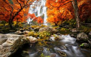 Autumn, forest, waterfalls, trees, red leaves wallpaper thumb