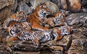 Beautiful,tigers wallpaper thumb