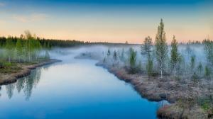 Mist rising, sunrise, river, trees wallpaper thumb