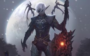 Lineage II - The Chaotic Chronicle wallpaper thumb