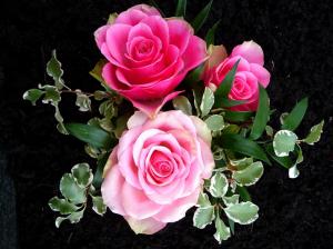 Roses Always Mean Love wallpaper thumb