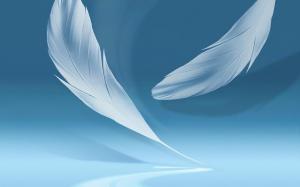 Blue Feathers wallpaper thumb