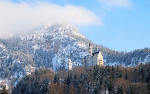 Neuschwanstein, Germany, Bavaria, castle, winter, trees wallpaper thumb