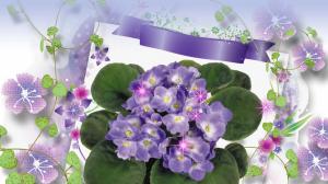 Spring Violets wallpaper thumb