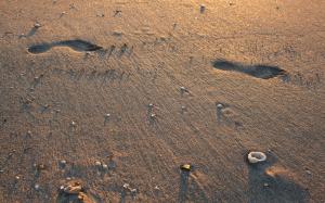 Beach Footprints Sand Shadow HD wallpaper thumb