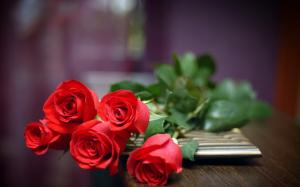 A Gift of Love, five red roses wallpaper thumb