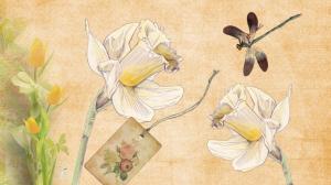 Daffodils Dragonfly wallpaper thumb