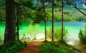 Nature, Landscape, Summer, Lake, Forest, Mountain, Shrubs, Trees wallpaper thumb
