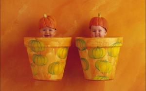 Pumpkin Potted Babies wallpaper thumb