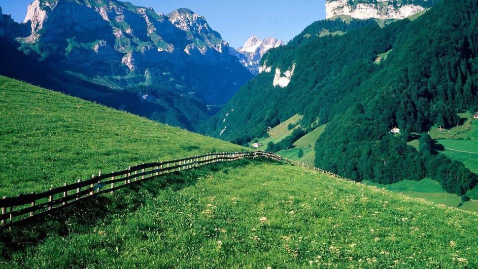Wonderful Swiss Alps Meadow wallpaper,trees HD wallpaper,meadow HD wallpaper,fence HD wallpaper,mountains HD wallpaper,nature & landscapes HD wallpaper,1920x1080 wallpaper