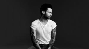 Adam Levine Maroon 5  High Resolution wallpaper thumb