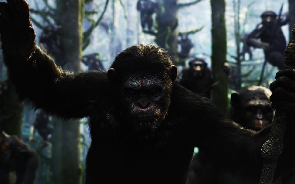 Dawn of the Planet of the Apes Movie wallpaper,Planet of the Apes HD wallpaper,1920x1200 wallpaper