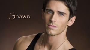 Days of our Lives Shawn HD wallpaper thumb