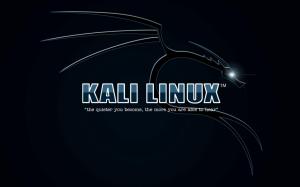Kali Linux, Dark Blue Background wallpaper thumb