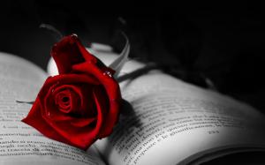 Book With Red Rose wallpaper thumb