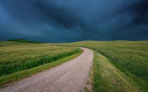 Italy, Tuscany, fields, road, grass, black clouds wallpaper thumb