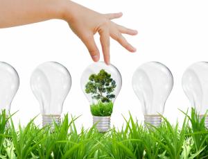 light bulb, technology, grass,hands, design, trees wallpaper thumb