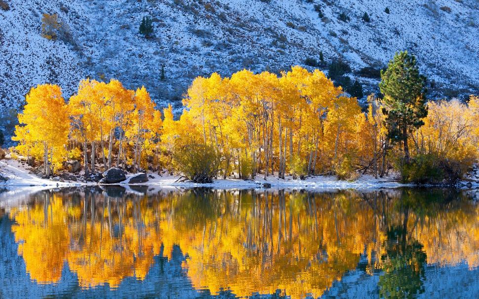Trees, yellow leaves, lake, snow, winter, water reflection wallpaper,Trees HD wallpaper,Yellow HD wallpaper,Leaves HD wallpaper,Lake HD wallpaper,Snow HD wallpaper,Winter HD wallpaper,Water HD wallpaper,Reflection HD wallpaper,1920x1200 wallpaper