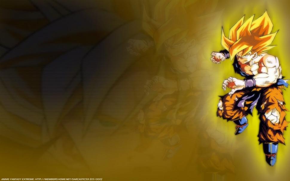Son Goku Super Saiyan  High Definition wallpaper,anime wallpaper,cartoon wallpaper,dragon ball wallpaper,goku wallpaper,son goku wallpaper,1600x1000 wallpaper