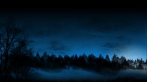 Night Forest Trees Fog Mist HD wallpaper thumb
